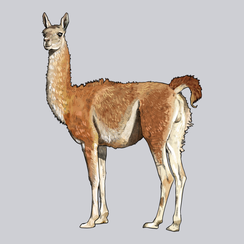 Guanaco Llama Heavyweight Sweatshirt by LillyAllenDesigns | Teevron