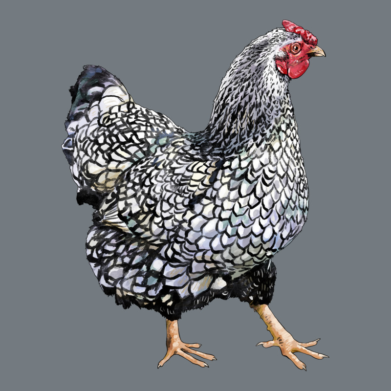 Wyandotte Chicken Heavyweight Sweatshirt by LillyAllenDesigns | Teevron