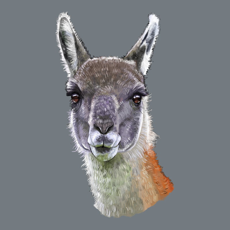 Guanaco Llama Head Heavyweight Sweatshirt by LillyAllenDesigns | Teevron