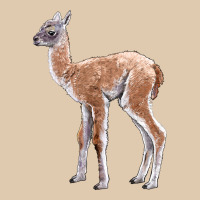 Guanaco Llama Baby Heavyweight Sweatshirt | Teevron