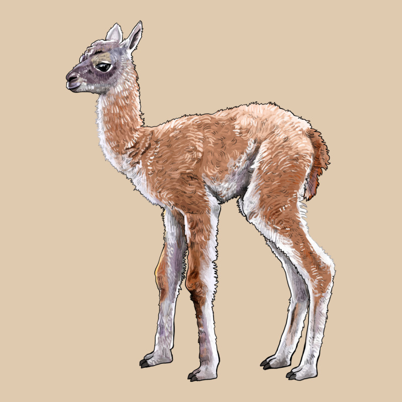 Guanaco Llama Baby Heavyweight Sweatshirt by LillyAllenDesigns | Teevron