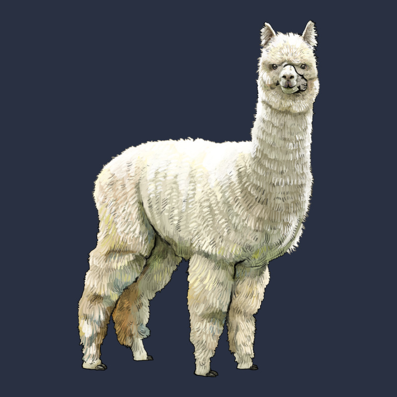Alpaca Heavyweight Sweatshirt by LillyAllenDesigns | Teevron