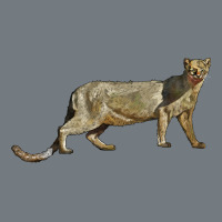 Jaguarundi Heavyweight Sweatshirt | Teevron