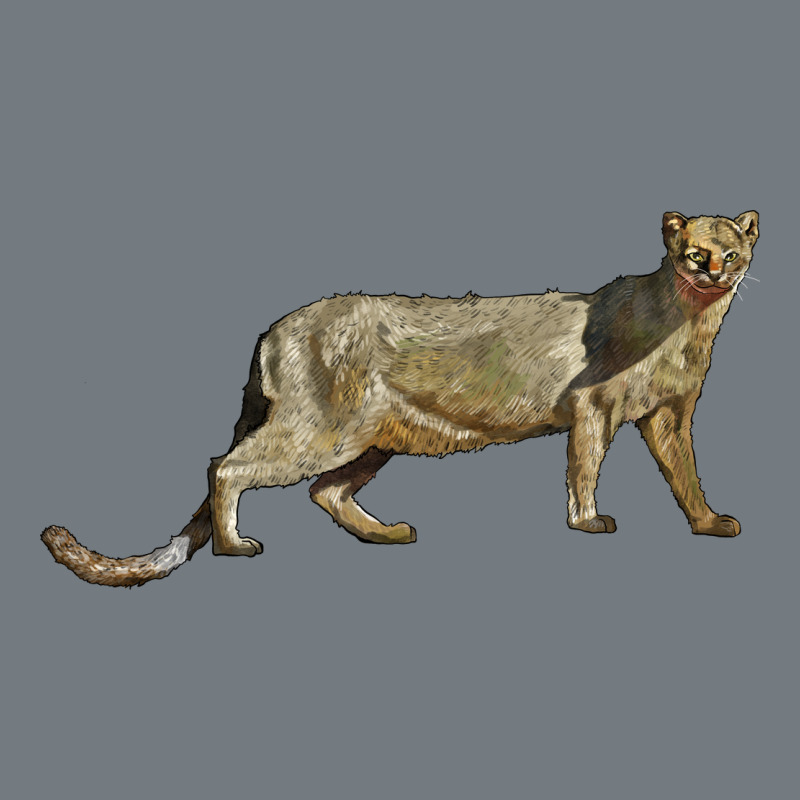 Jaguarundi Heavyweight Sweatshirt by LillyAllenDesigns | Teevron