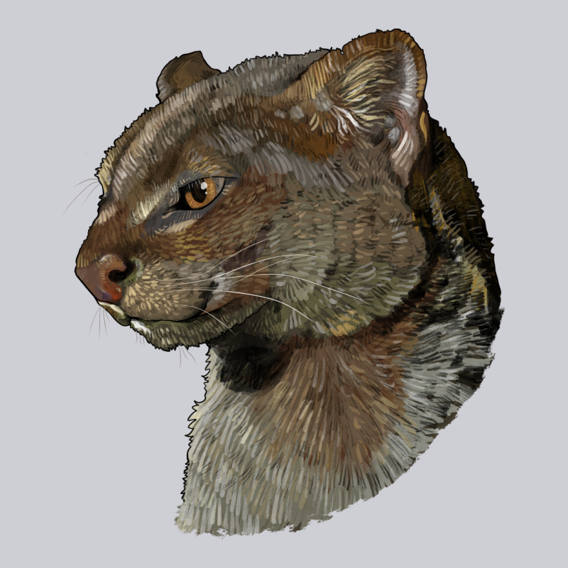 Jaguarundi Head Heavyweight Sweatshirt by LillyAllenDesigns | Teevron