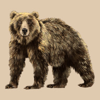 Brown Bear Heavyweight Sweatshirt | Teevron