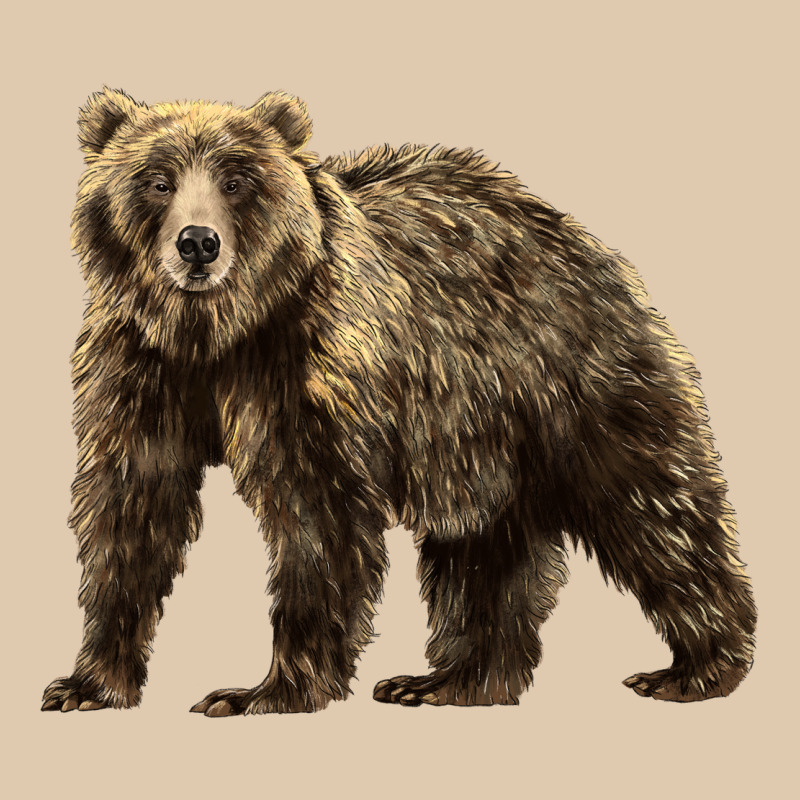 Brown Bear Heavyweight Sweatshirt by LillyAllenDesigns | Teevron