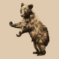 Brown Bear Cub Heavyweight Sweatshirt | Teevron