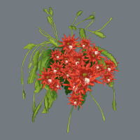 Red Orchid Cactus Heavyweight Sweatshirt | Teevron