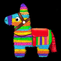 Pinata Zipper Hoodie | Teevron