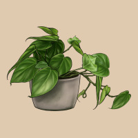 Philodendron Heavyweight Sweatshirt | Teevron