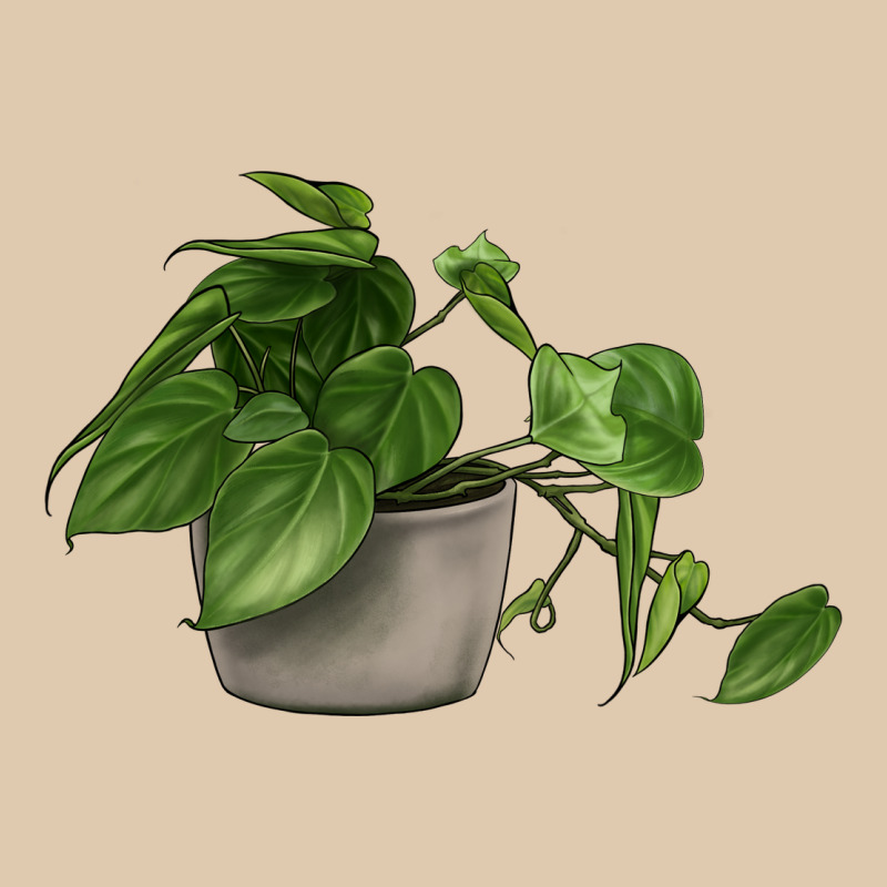 Philodendron Heavyweight Sweatshirt by LillyAllenDesigns | Teevron