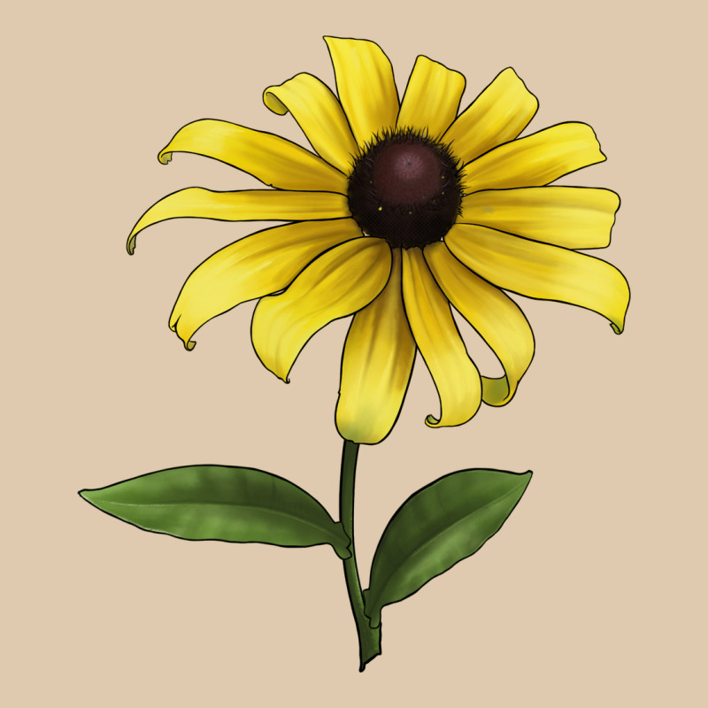 Black Eyed Susan Flower Illustrations Heavyweight Sweatshirt by LillyAllenDesigns | Teevron