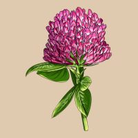 Red Clover Illustrations Heavyweight Sweatshirt | Teevron