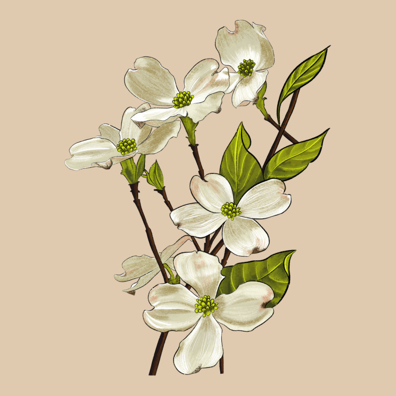 American Dogwood Flower Illustrations Heavyweight Sweatshirt by LillyAllenDesigns | Teevron