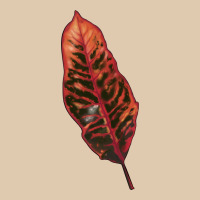 Croton Leaf Heavyweight Sweatshirt | Teevron