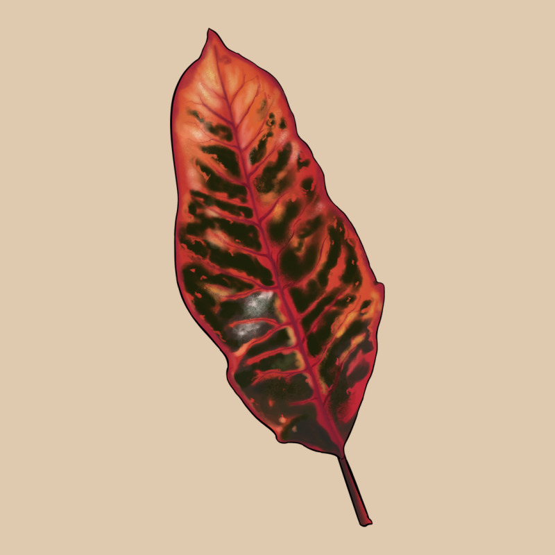 Croton Leaf Heavyweight Sweatshirt by LillyAllenDesigns | Teevron