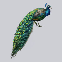 Peacock Heavyweight Sweatshirt | Teevron