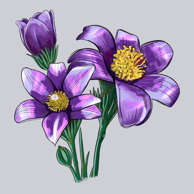 Pasque Flower Illustrations Heavyweight Sweatshirt by LillyAllenDesigns | Teevron