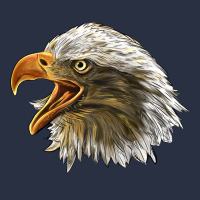 Bald Head Eagle Heavyweight Sweatshirt | Teevron