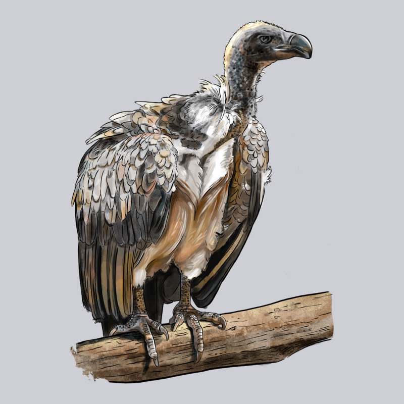 Vulture Bird Heavyweight Sweatshirt by LillyAllenDesigns | Teevron