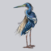 Louisiana Heron Heavyweight Sweatshirt | Teevron