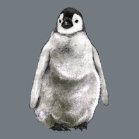 Baby Penguin Heavyweight Sweatshirt | Teevron