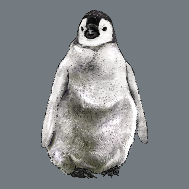 Baby Penguin Heavyweight Sweatshirt by LillyAllenDesigns | Teevron