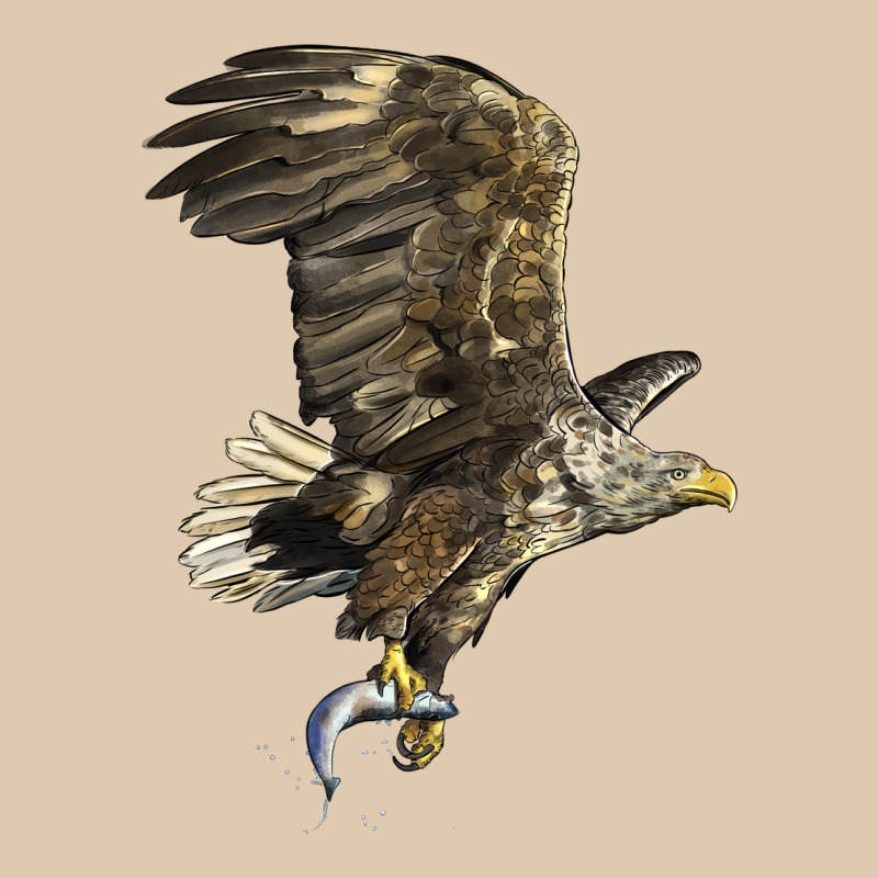 American White Sea Eagle Heavyweight Sweatshirt by LillyAllenDesigns | Teevron