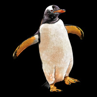 Penguin Heavyweight Sweatshirt | Teevron