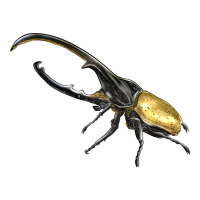 Hercules Beetle Side | Teevron