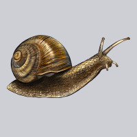 Snail Heavyweight Sweatshirt | Teevron