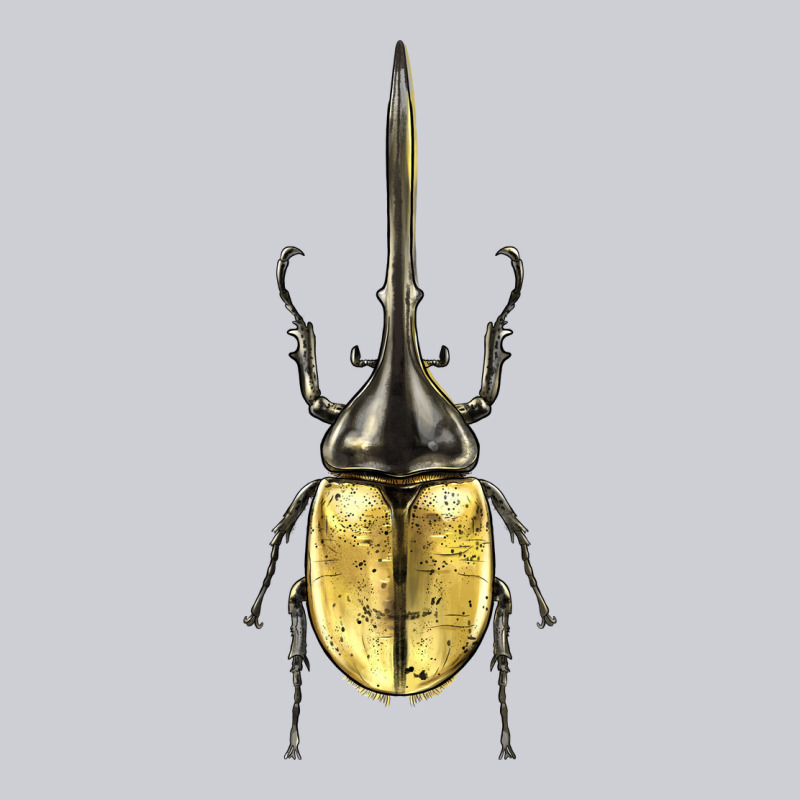 Hercules Beetle Heavyweight Sweatshirt by LillyAllenDesigns | Teevron