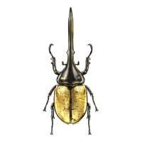 hercules beetle | Teevron