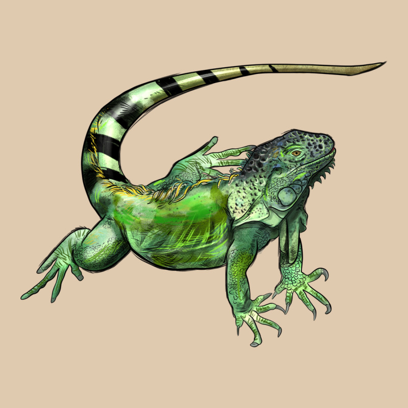 İguana Heavyweight Sweatshirt by LillyAllenDesigns | Teevron