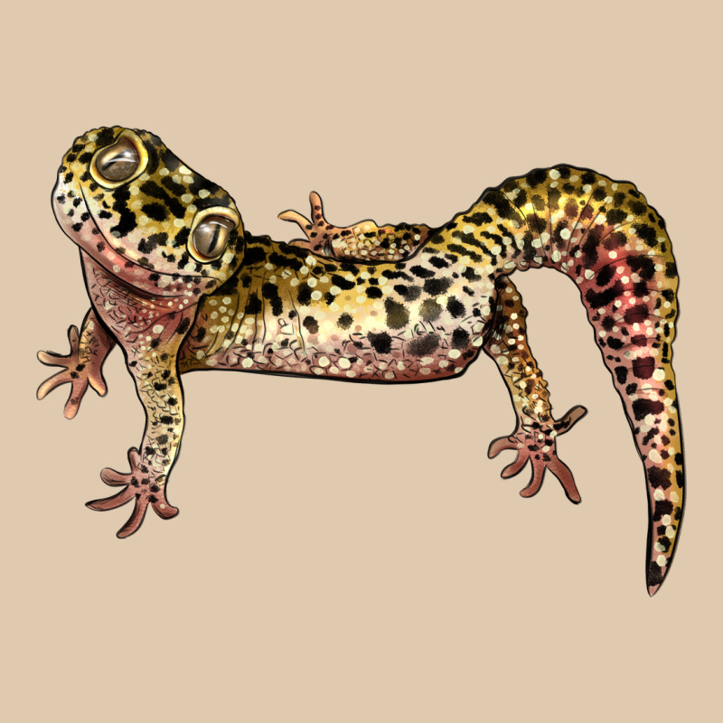 Gecko Lizard Illustrations Heavyweight Sweatshirt by LillyAllenDesigns | Teevron