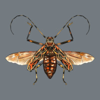 Acrocinus Beetle With Wings Heavyweight Sweatshirt | Teevron