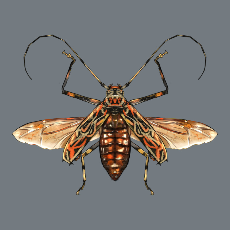 Acrocinus Beetle With Wings Heavyweight Sweatshirt by LillyAllenDesigns | Teevron