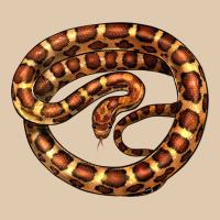 Corn Snake Illustrations Heavyweight Sweatshirt | Teevron