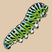 Papilio Machaon Caterpillar Heavyweight Sweatshirt | Teevron