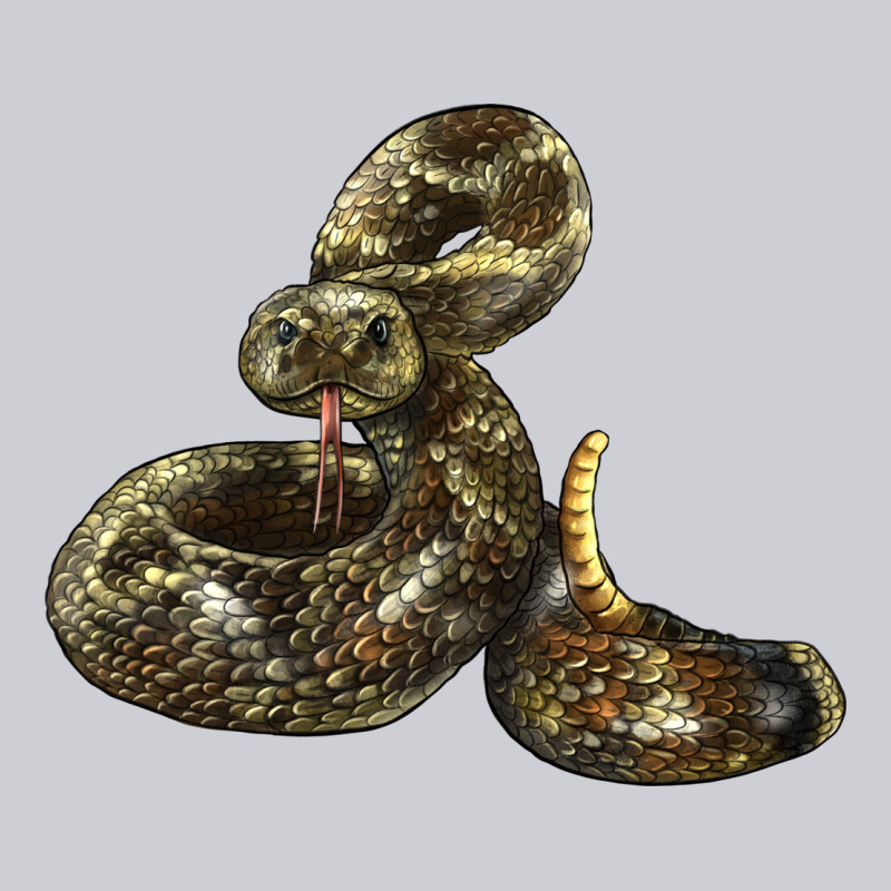 Rattlesnake Heavyweight Sweatshirt by LillyAllenDesigns | Teevron