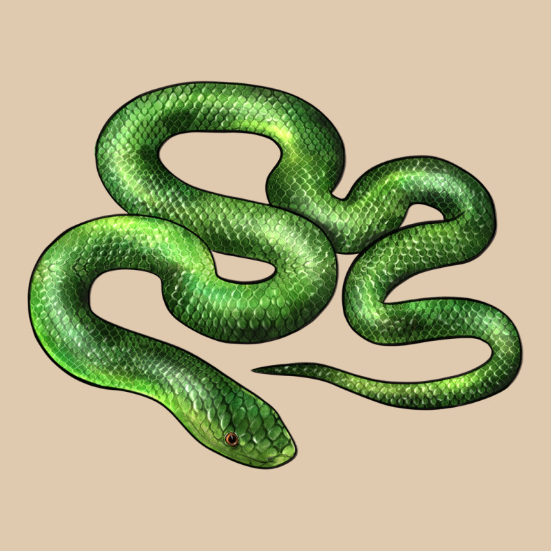 Boomslang Snake Heavyweight Sweatshirt by LillyAllenDesigns | Teevron