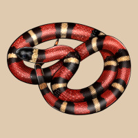 Milk Snake Heavyweight Sweatshirt | Teevron