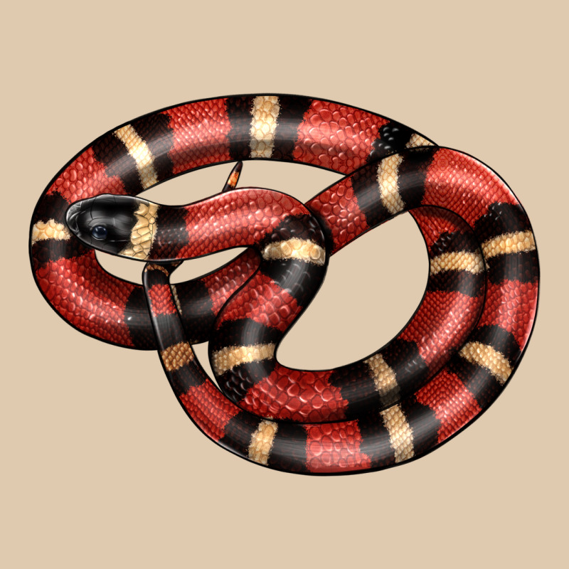 Milk Snake Heavyweight Sweatshirt by LillyAllenDesigns | Teevron