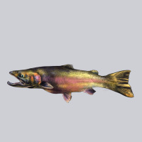 Steelhead Trout Heavyweight Sweatshirt | Teevron