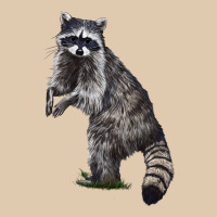 Raccoon Illustrations Heavyweight Sweatshirt | Teevron