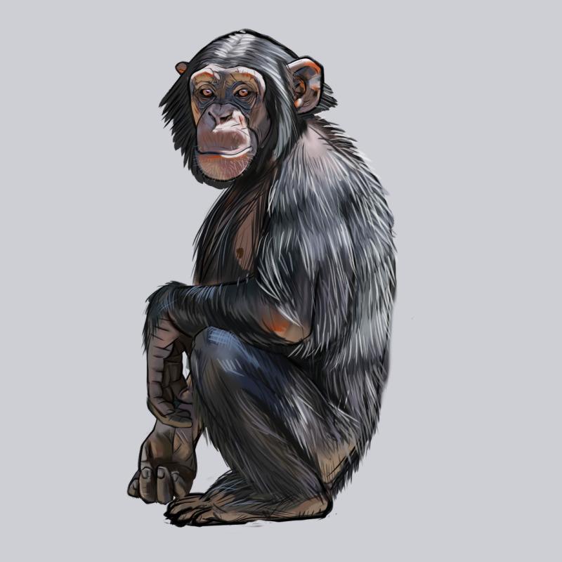Chimpanzee Illustrations Heavyweight Sweatshirt by LillyAllenDesigns | Teevron