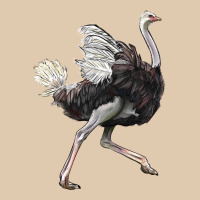 Ostrich Heavyweight Sweatshirt | Teevron