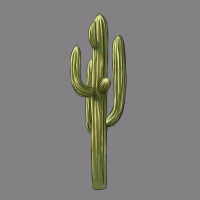 Cactus Heavyweight Hoodie | Teevron