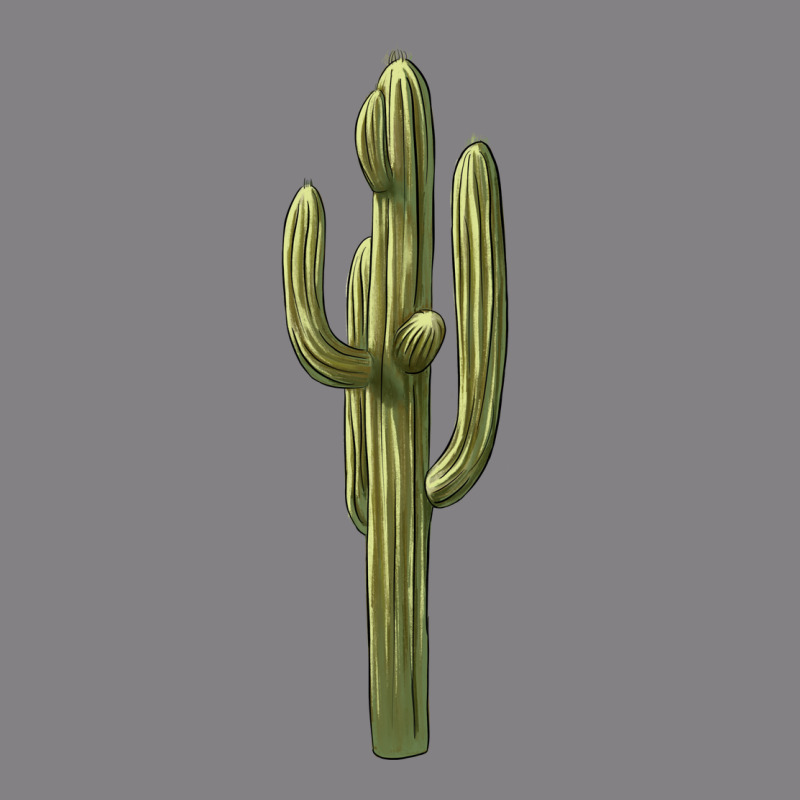 Cactus Heavyweight Hoodie by BarkalooDesign | Teevron